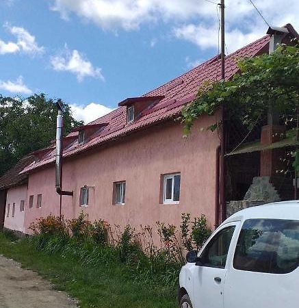 Casa Boierului Imbri Βίλα Cîrţişoara Εξωτερικό φωτογραφία