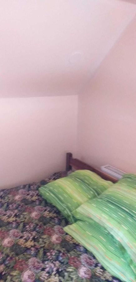 Casa Boierului Imbri Βίλα Cîrţişoara Εξωτερικό φωτογραφία