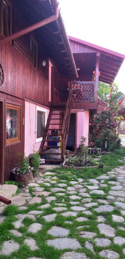 Casa Boierului Imbri Βίλα Cîrţişoara Εξωτερικό φωτογραφία