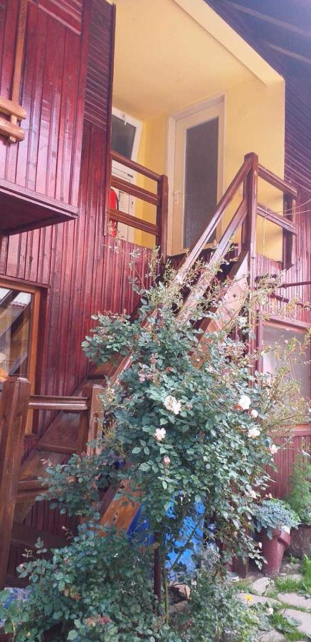 Casa Boierului Imbri Βίλα Cîrţişoara Εξωτερικό φωτογραφία