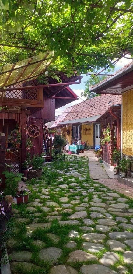 Casa Boierului Imbri Βίλα Cîrţişoara Εξωτερικό φωτογραφία