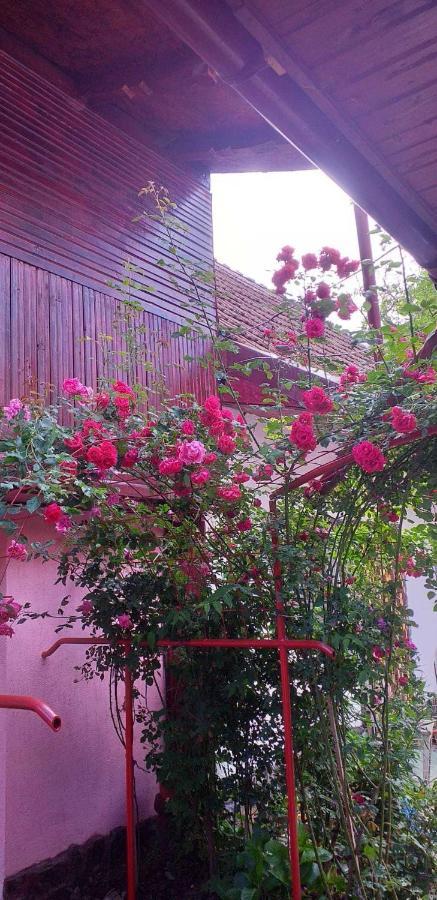 Casa Boierului Imbri Βίλα Cîrţişoara Εξωτερικό φωτογραφία