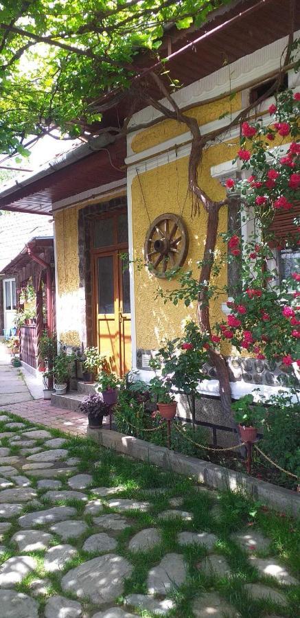 Casa Boierului Imbri Βίλα Cîrţişoara Εξωτερικό φωτογραφία