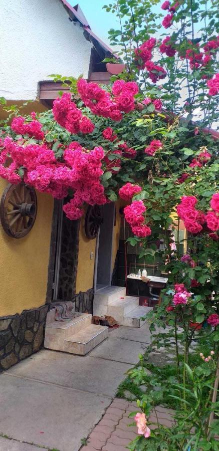 Casa Boierului Imbri Βίλα Cîrţişoara Εξωτερικό φωτογραφία